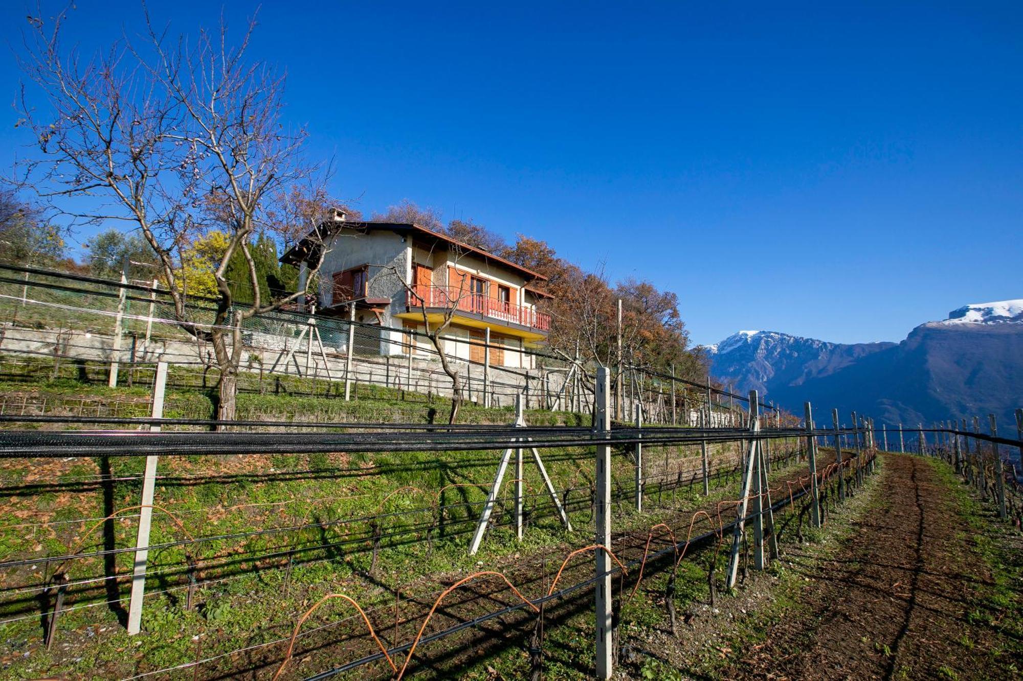 Appartamento Balcone Panoramico sul Garda Tremosine Esterno foto